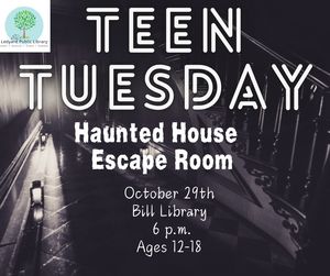 Teen Haunted House E